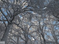 2017-12-29 V. del Morretano 053